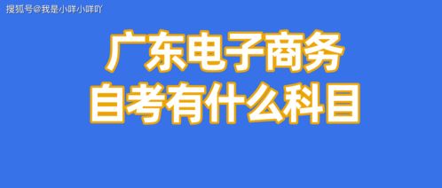 电子商务专业学到的好处