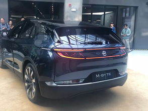 大屏幕显示屏汽车电车七座商务车（大显示屏的汽车）