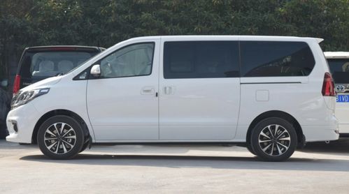 进口商务车2.0t汽车30万元（进口商务车品牌有哪些）