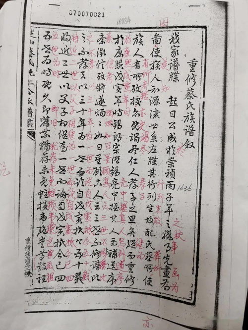 黄石市商务局委员会汽车补贴名单（黄石购车补贴）