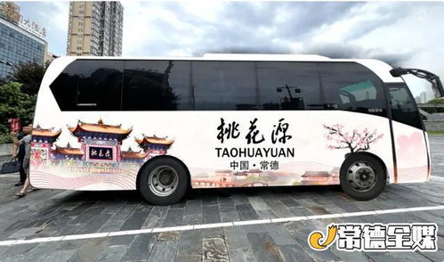 常德汽车站安乡商务车多少钱（坐常德到安乡商务车多少钱）