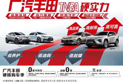 廊坊市商务局汽车置换补贴审核（廊坊购车补贴2020）