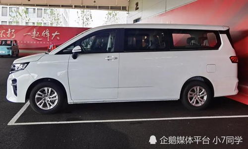 王牌汽车商务车价格表大全（王牌车型）