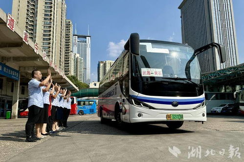拉萨柳梧汽车站的商务车（拉萨柳客运站）
