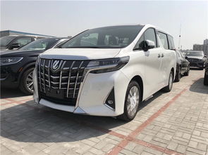 阿埃尔法汽车报价商务车（阿尔法商务车报价2020款图片）