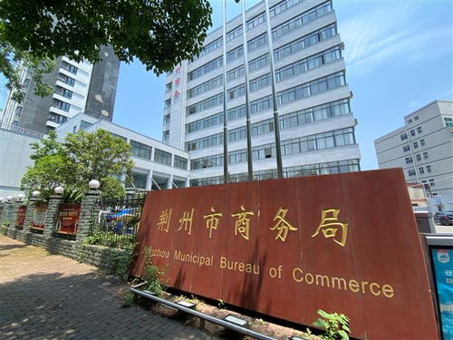 保定蠡县商务局汽车补贴咨询电话（蠡县卖车的地方）